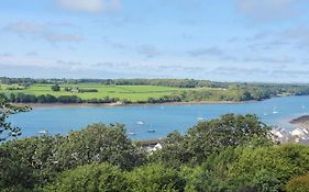 Gwylan Uchaf